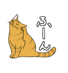 動きが豊かな猫達（個別スタンプ：15）