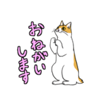 動きが豊かな猫達（個別スタンプ：20）