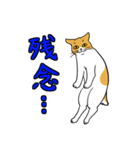 動きが豊かな猫達（個別スタンプ：27）