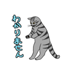 動きが豊かな猫達（個別スタンプ：33）