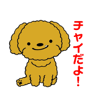 チャイのどこでも使えるLINEスタンプ（個別スタンプ：1）