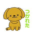 チャイのどこでも使えるLINEスタンプ（個別スタンプ：15）