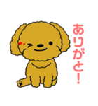 チャイのどこでも使えるLINEスタンプ（個別スタンプ：16）