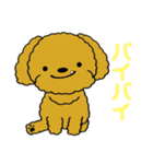 チャイのどこでも使えるLINEスタンプ（個別スタンプ：33）