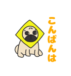 パグのプー（個別スタンプ：3）