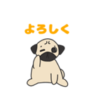 パグのプー（個別スタンプ：5）