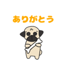 パグのプー（個別スタンプ：6）