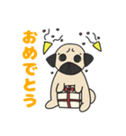 パグのプー（個別スタンプ：8）