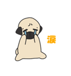 パグのプー（個別スタンプ：12）