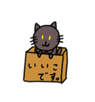 完全体ねこさん（個別スタンプ：35）