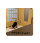 ティムしか勝たん（個別スタンプ：2）