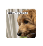 ティムしか勝たん（個別スタンプ：7）