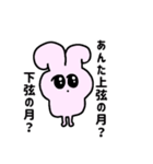 強くなりたいうさぴ（個別スタンプ：39）