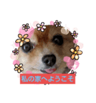 お前にはまだ早い（個別スタンプ：1）