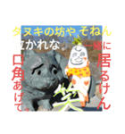 空飛ぶ大根母さんと雪ダルマとたぬき岡山弁（個別スタンプ：1）