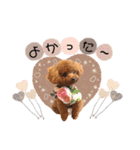 アロモアのスタンプ（個別スタンプ：6）