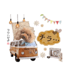 アロモアのスタンプ（個別スタンプ：8）