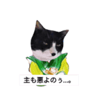 ミー介のスケッチブック（個別スタンプ：1）