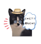 ミー介のスケッチブック（個別スタンプ：8）