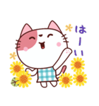 いつも猫ちゃん 夏（個別スタンプ：1）