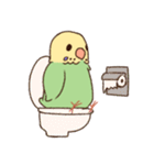 めんこいんこ（個別スタンプ：11）