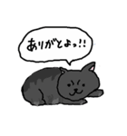 どうぶつたちはなかまたち②～猫編～（個別スタンプ：13）