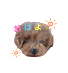 だっくんの挨拶（個別スタンプ：4）