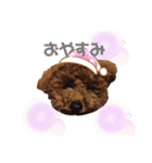 だっくんの挨拶（個別スタンプ：9）