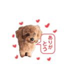 だっくんの挨拶（個別スタンプ：13）