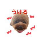 だっくんの挨拶（個別スタンプ：19）