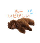 だっくんの挨拶（個別スタンプ：21）
