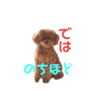だっくんの挨拶（個別スタンプ：23）