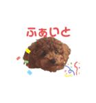 だっくんの挨拶（個別スタンプ：24）