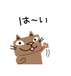 Juns 茶猫のあいさつ（個別スタンプ：17）