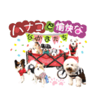 愛犬♡ハナコのスタンプ8「あるある」編（個別スタンプ：40）