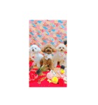 ムーティティリリー（個別スタンプ：1）
