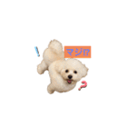 ムーティティリリー（個別スタンプ：12）