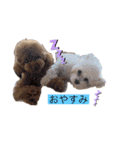 ムーティティリリー（個別スタンプ：14）