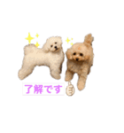 ムーティティリリー（個別スタンプ：15）
