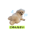 ムーティティリリー（個別スタンプ：17）