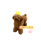 ムーティティリリー（個別スタンプ：18）