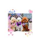 ムーティティリリー（個別スタンプ：20）