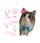 遊びの達人（個別スタンプ：1）