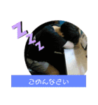 そば居酒屋『純平』（個別スタンプ：8）