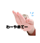 hamstamp.（個別スタンプ：4）