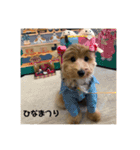 ティムしか勝たん2（個別スタンプ：5）
