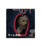 ティムしか勝たん2（個別スタンプ：7）