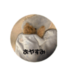 ティムしか勝たん2（個別スタンプ：8）