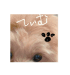 ティムしか勝たん2（個別スタンプ：14）