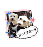 マルックスのアンディとウエスティのスマ（個別スタンプ：16）